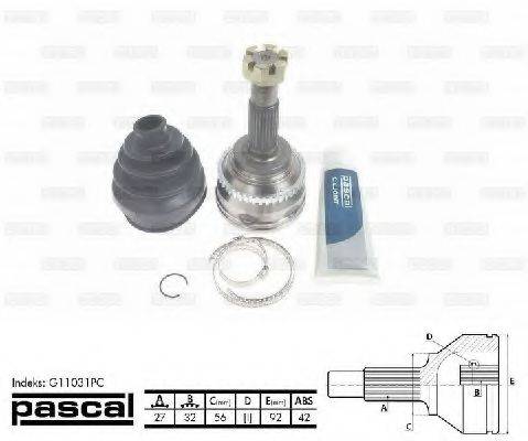 PASCAL G11031PC