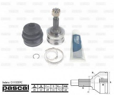 PASCAL G11038PC