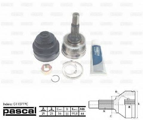 PASCAL G11077PC