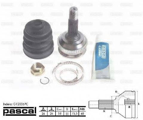PASCAL G12036PC