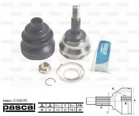 PASCAL G12081PC