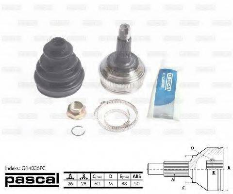 PASCAL G14036PC