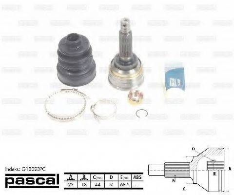 PASCAL G18023PC