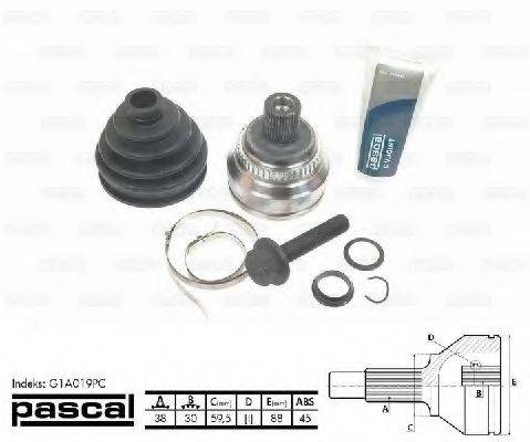 PASCAL G1A019PC