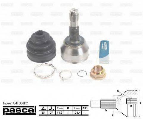 PASCAL G1F058PC