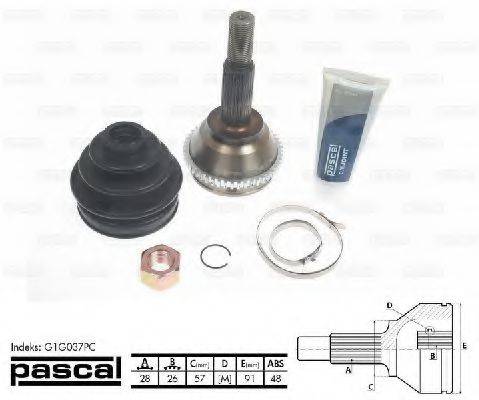 PASCAL G1G037PC
