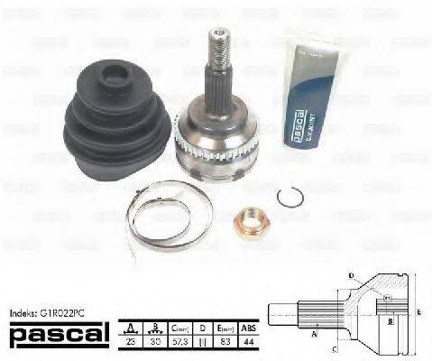 PASCAL G1R022PC
