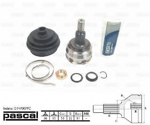 PASCAL G1W007PC