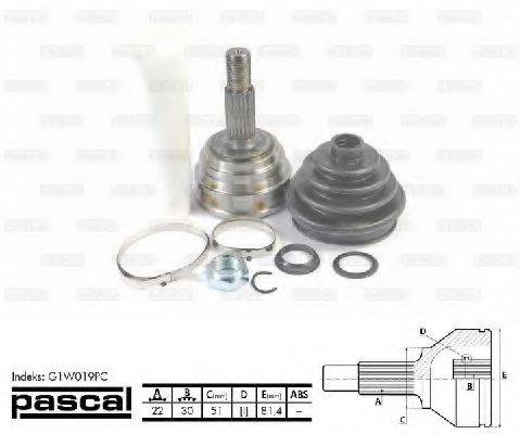 PASCAL G1W019PC