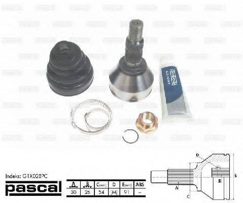 PASCAL G1X028PC