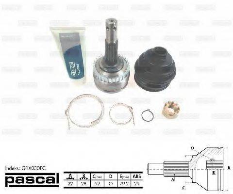 PASCAL G1X030PC