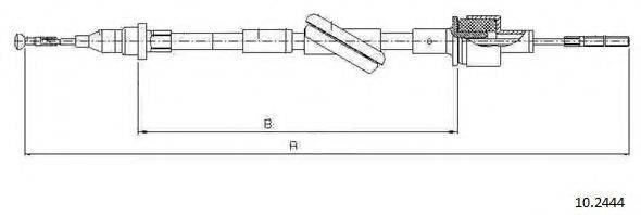 CABOR 10.2444
