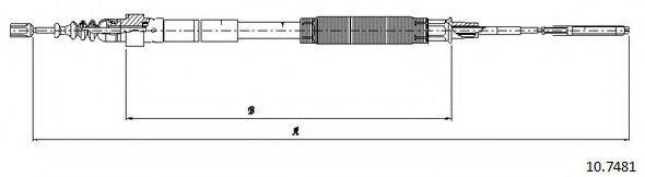 CABOR 10.7481