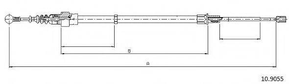 CABOR 10.9055