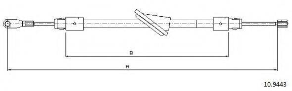 CABOR 10.9443