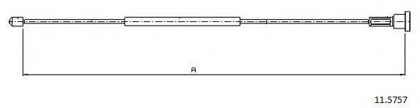 CABOR 11.5757