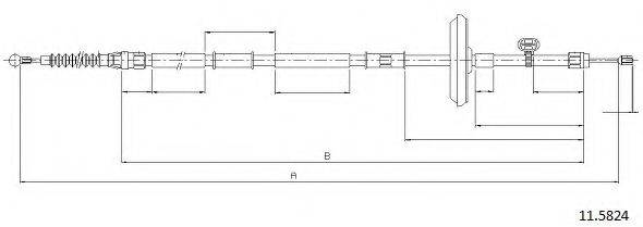 CABOR 11.5824