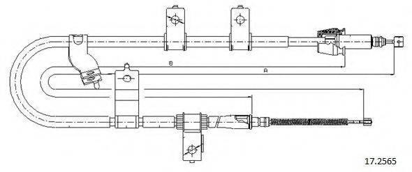 CABOR 17.2565