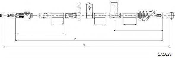 CABOR 17.5029