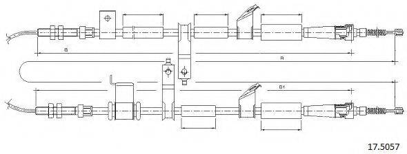 CABOR 17.5057