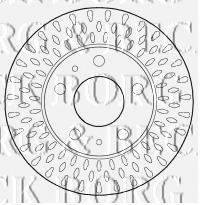 BORG & BECK BBD5805S