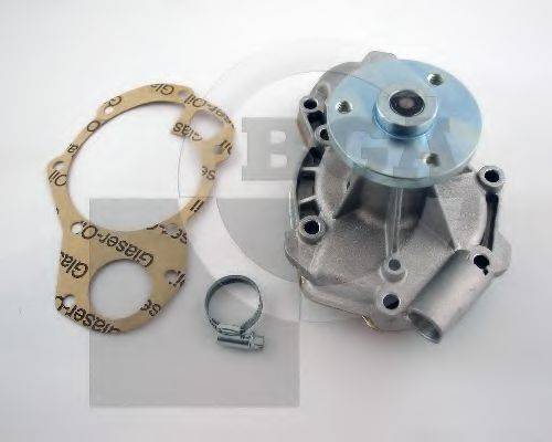 BGA CP2484