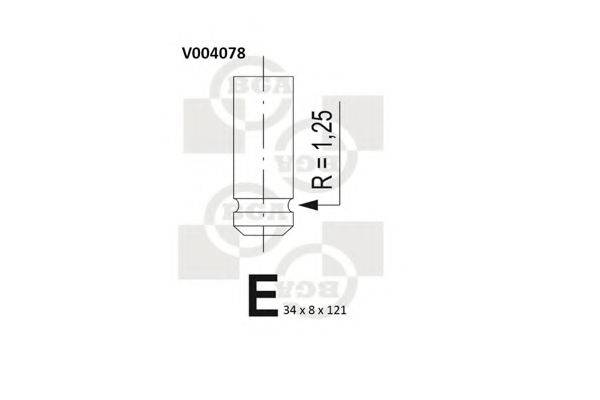 BGA V004078