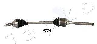 JAPKO 62571