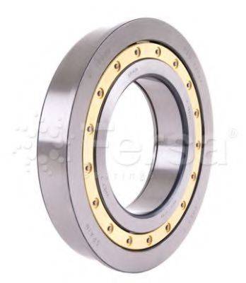FERSA F 19022