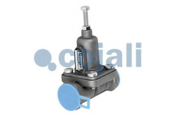 COJALI 2206161