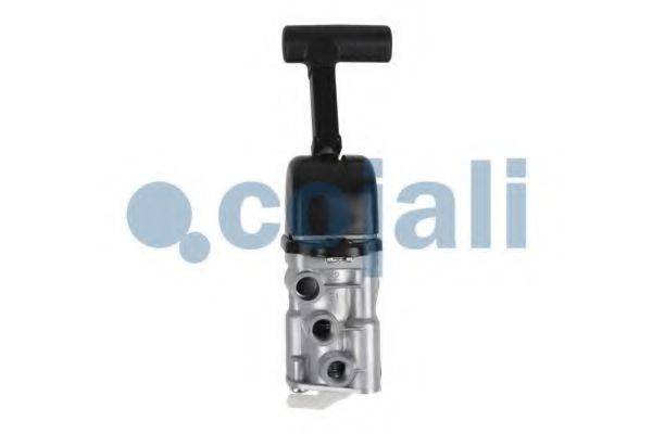 COJALI 2224418