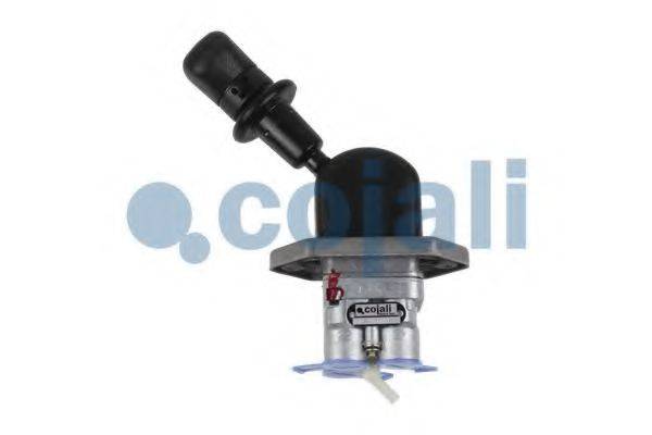 COJALI 2224502