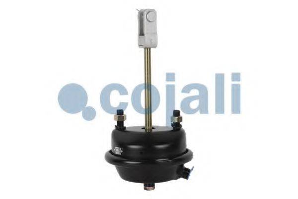 COJALI 2251107