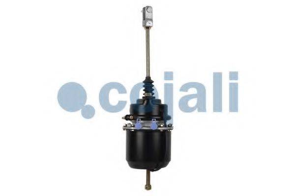 COJALI 2251415