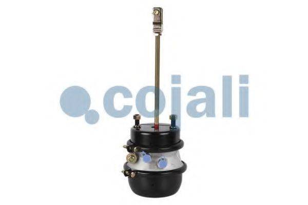 COJALI 2251422