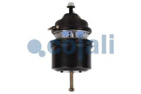 COJALI 2251511