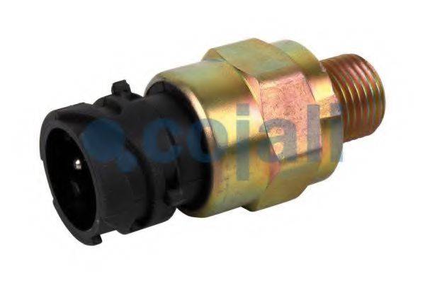 COJALI 2260424