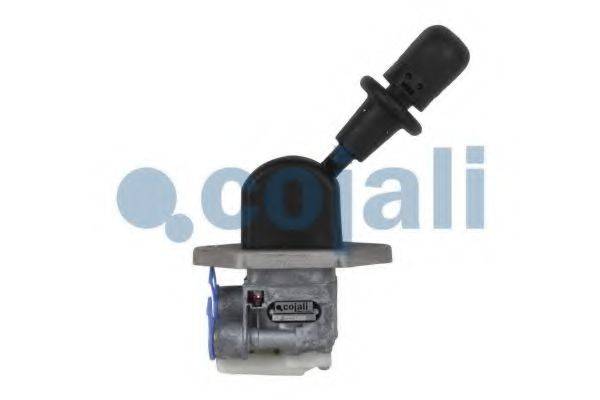 COJALI 2324301