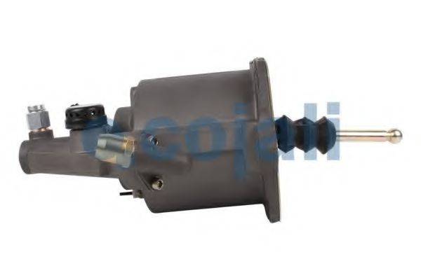 COJALI 2550304