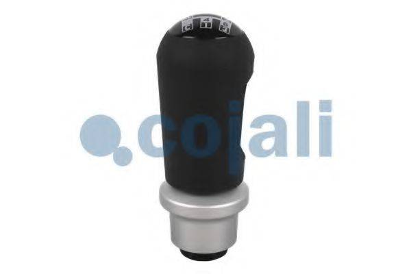 COJALI 2880171