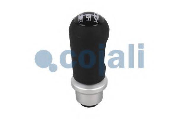 COJALI 2880172