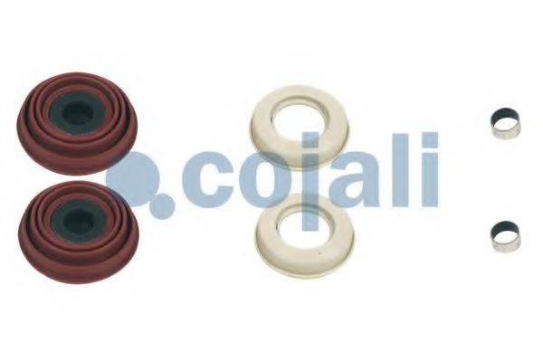 COJALI 6084001