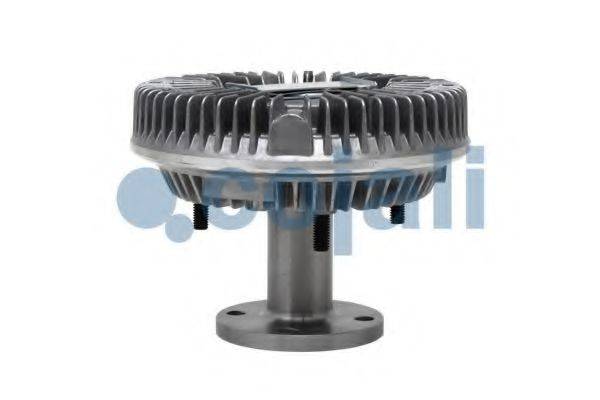 COJALI 7033125
