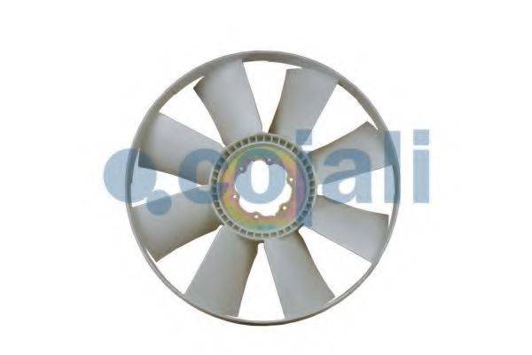 COJALI 7047109