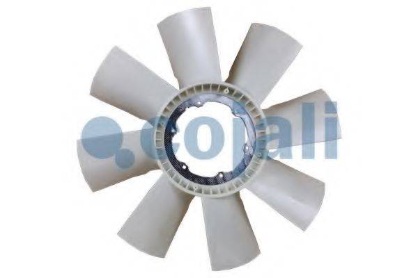 COJALI 7077103