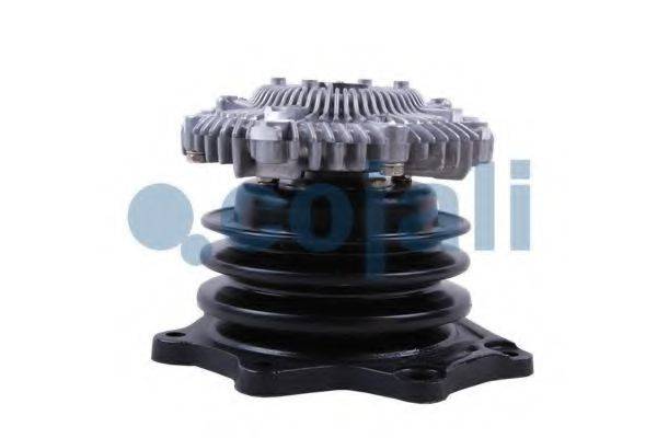 COJALI 8115118