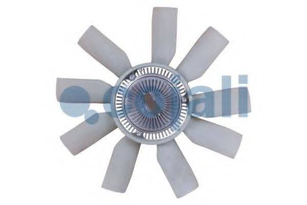 COJALI 8137109