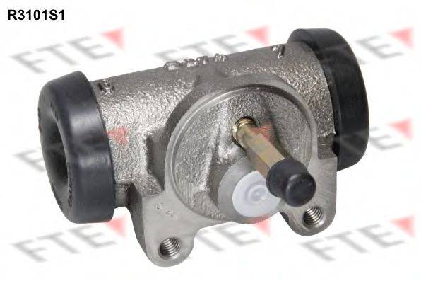 FTE R3101S1