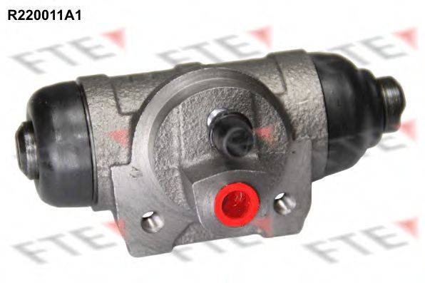 FTE R220011A1