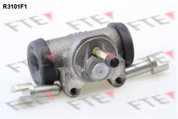 FTE R3101F1